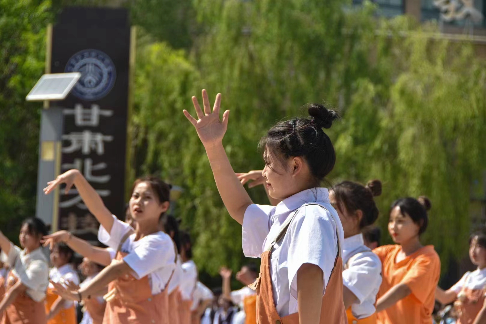 必赢437官方网站的幼儿教育专业怎么样？